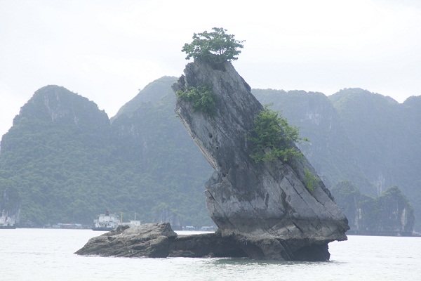 tour du lịch Hạ Long ghép đoàn